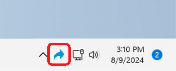 NetDetour system tray icon